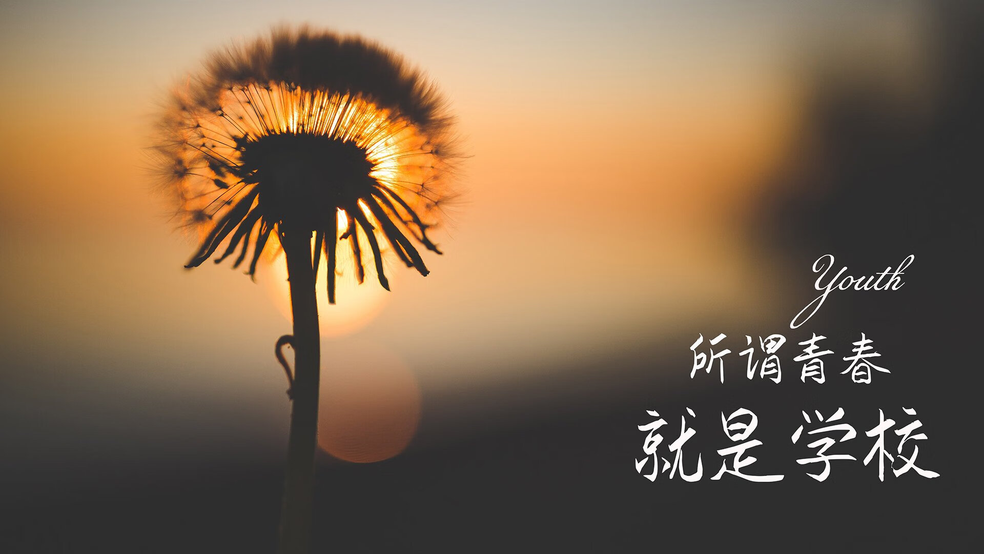 AYX体育官网-山东泰山球队体能状况良好，2021山东泰山球员号码