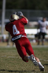 AIYOUXI.COM-法甲球队防守战术调整后定位球防守成功率提升分析，法国防守