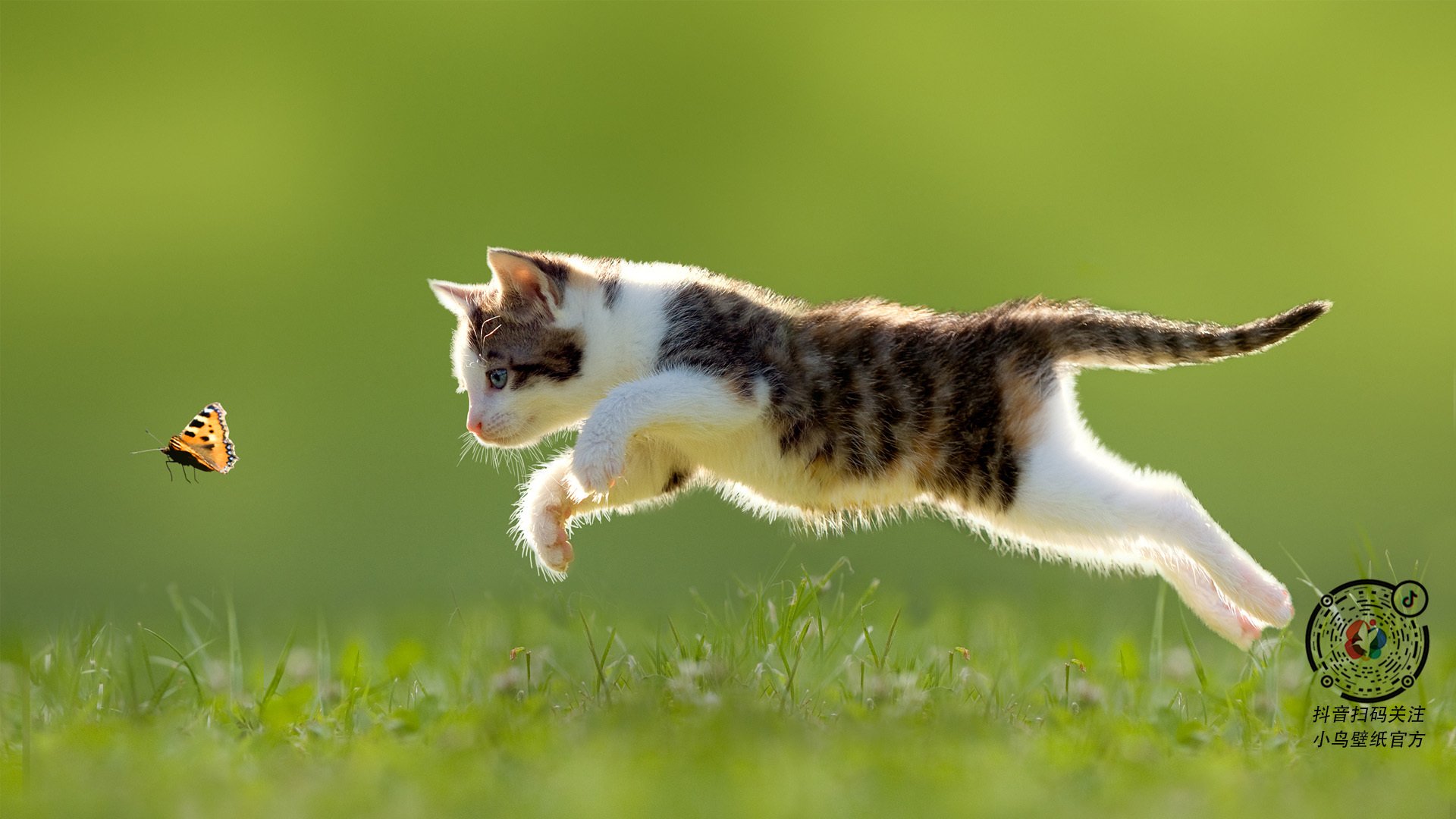 USMA 在杯赛决赛 71–69 战胜 WO Boufarik 创纪录首冠,usaco赛制