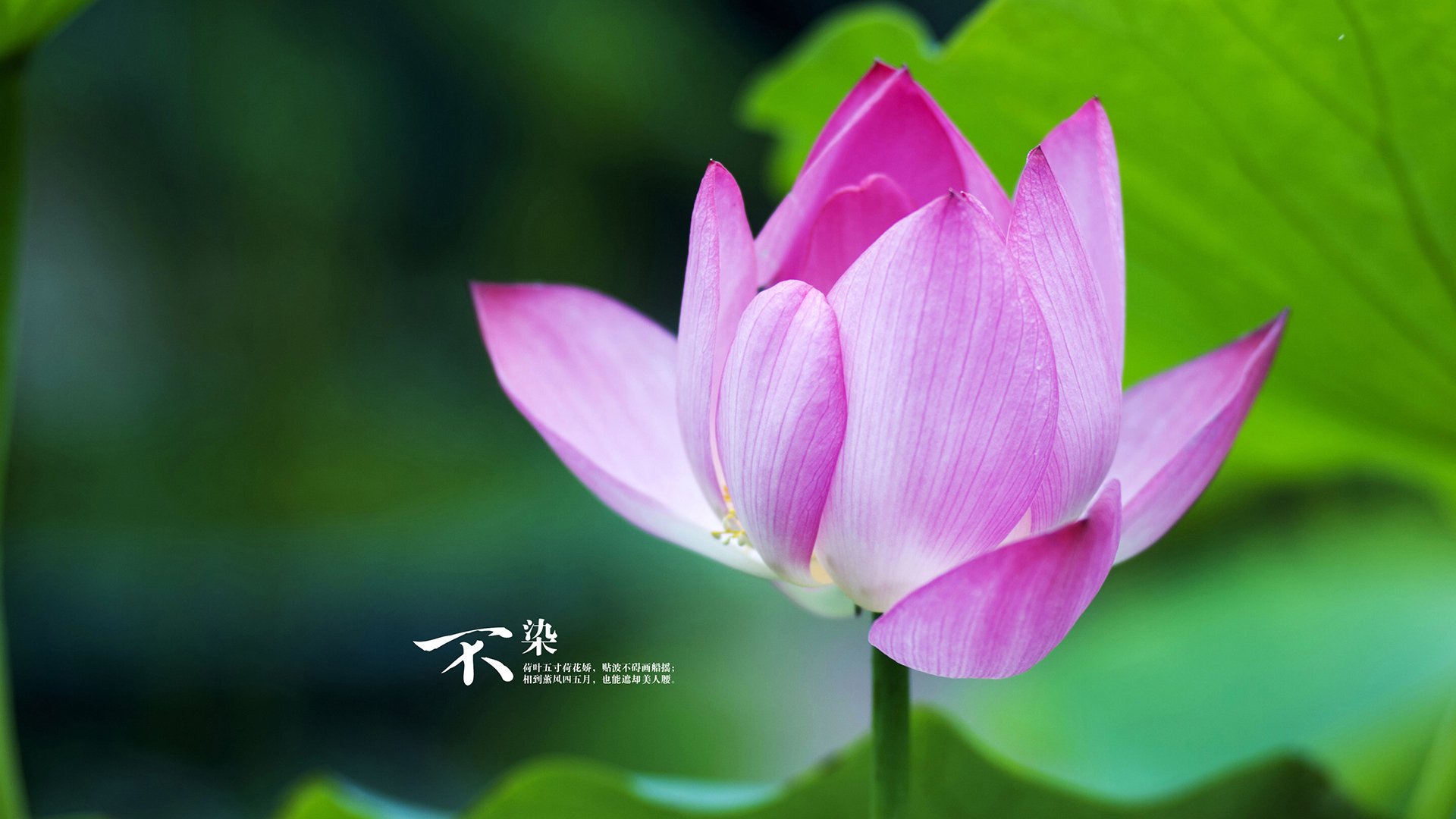 中国男篮全队备战国际大赛,中国男篮国际比赛