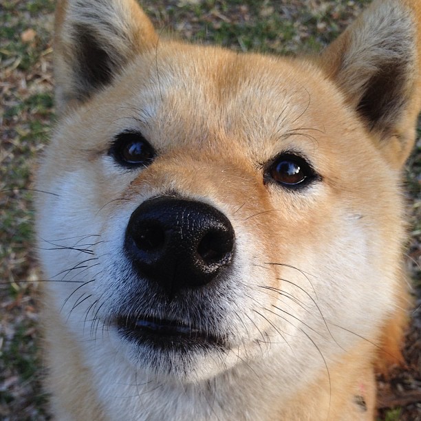 AYX GAME-未来可期：中国香港队的崛起与发展蓝图