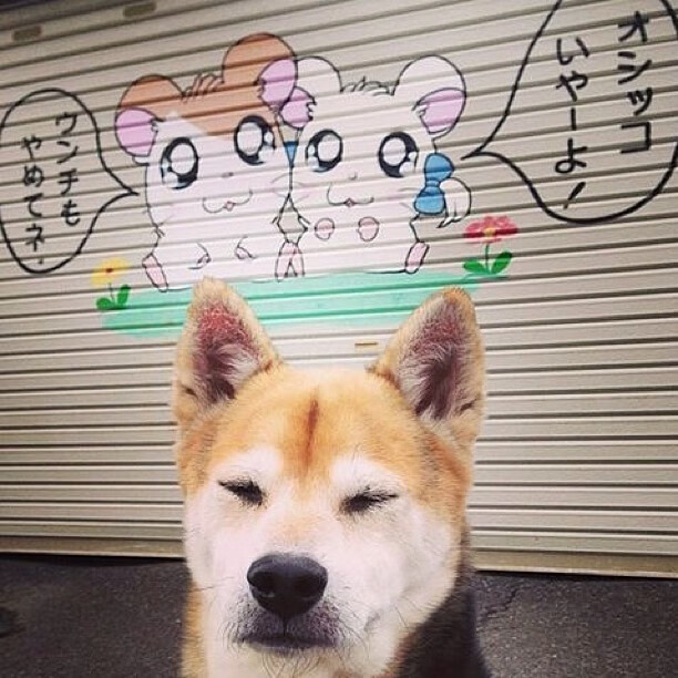 爱游戏官方网站-中超球员联赛出勤率上升整体职业态度更为端正，中超联赛薪资