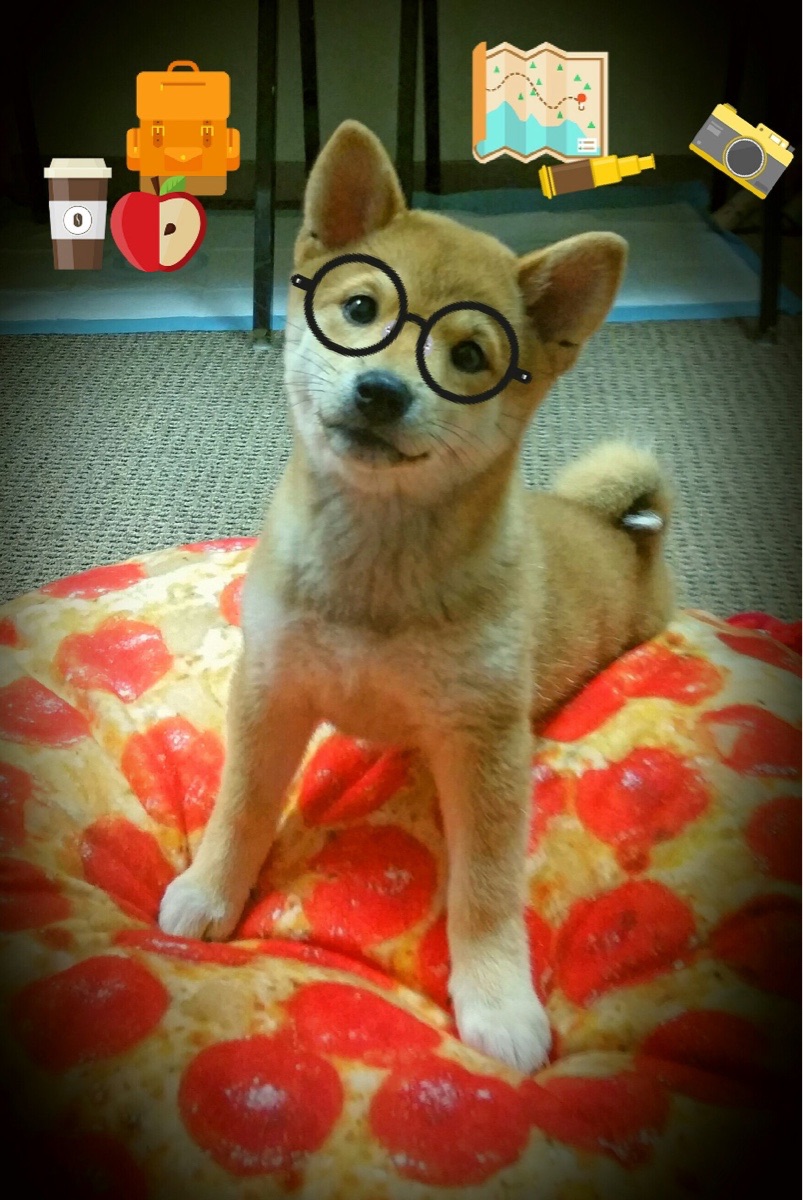 朱婷鼓励队友突破自我迎接挑战，朱婷带队出发