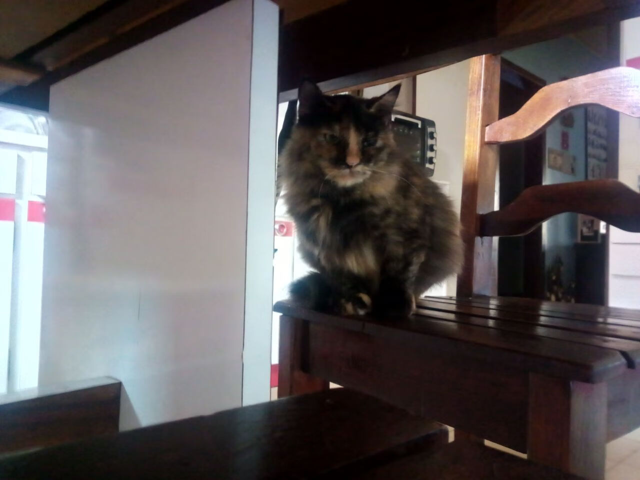 球员身体状态全面回暖教练团队表示全队已进入最佳备战节奏，球员身体素质