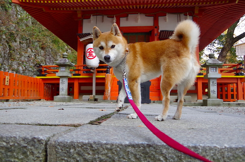 艾比·德尔福：以强硬防守和精准传球稳固南非队后场，艾比利德尔